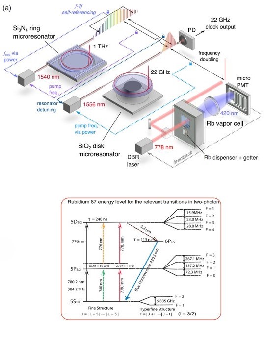 Vapor-Cell Atomic NMR-Gyroscope